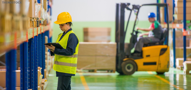 Warehouse Assistant