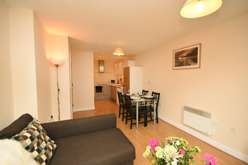 Modern 1-Bedroom Apartment – South Side, B5